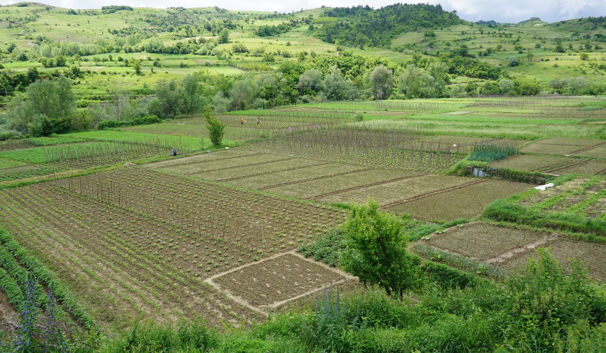 buying agricultural land in Albania legal guide for foreign investors